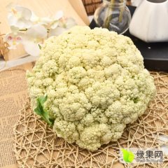 徐州市铜山区优质小西芹上市