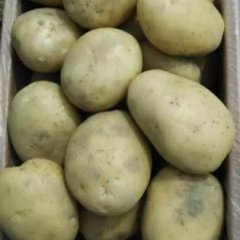 腾冲癫摊李红国5月丽署六号土豆