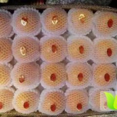 蒲城县杏子早买早赚