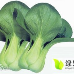 盐城建湖小白菜大量出售！！