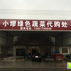 江苏省南通市最大的土豆生产基地