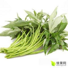 红薯芽苗.又称红薯叶、地瓜叶