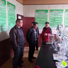 山东泗水中薯系列土豆聚焦市场