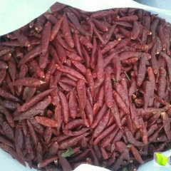 民权辣椒价格适宜,龙塘黄林诚信合作