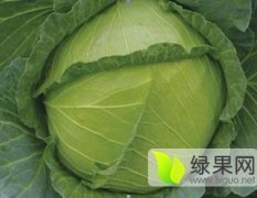 唐山玉田永发蔬菜公司大头菜