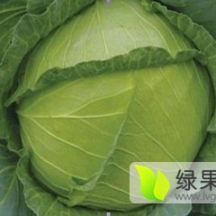 唐山玉田永发蔬菜公司大头菜