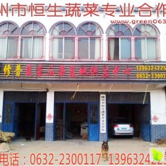 2016土豆代办哪里找？滕州恒生土豆合作社帮您忙