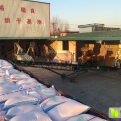 山东滕州市丰裕种植合作社