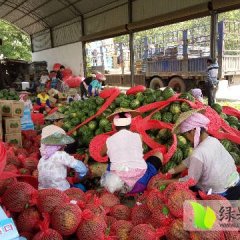 云南盈江甜王系列西瓜质量上乘