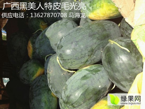 黑美人价格