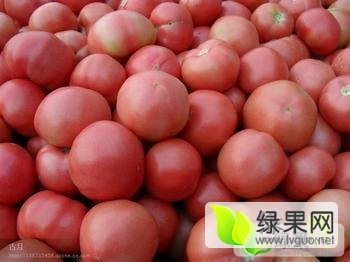 2014年山东费县硬粉价格