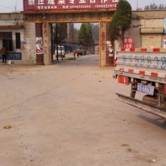 河南延津祥瑞西红柿价格行情平稳