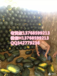 麒麟西瓜价格