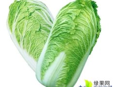 岱岳春白菜菊锦大量上市，单株重4-5斤