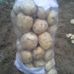 山东泗水宜稳代收代发