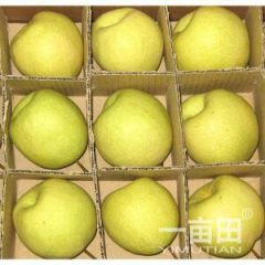 砀山万亩梨园，大量出售，酥梨