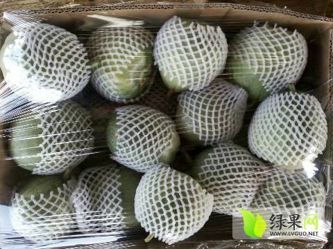 2016年山东费县脆宝价格