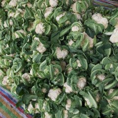 博爱孝敬余国亮4月雪玉菜花