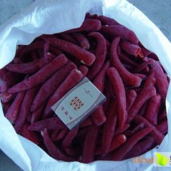 2016年6内蒙古开鲁北京红鲁红六号六寸红干辣椒