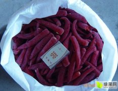 2016年6内蒙古开鲁北京红鲁红六号六寸红干辣椒