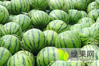 大荔西瓜种植基地，陕西京欣西瓜产地批发价格