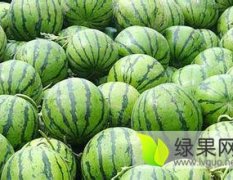 大荔西瓜种植基地，陕西京欣西瓜产地批发价格
