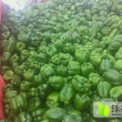 2016冠县辣椒价格波动不大