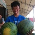 2016青州西瓜大量上市