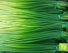 商河县孙集、白桥蒜薹即将上市