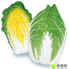 2016河北张家口蔚县-甘蓝-大白菜基地