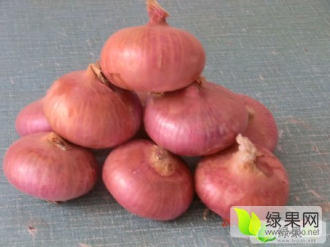2016年山东单县红皮洋葱价格
