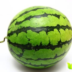 浙江温岭8424西瓜价格便宜