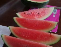 广西扶绥黑美人西瓜7成以上价格在1.1元
