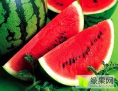 山东莘县京欣西瓜产销两旺山君涛诚信合作