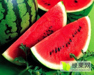 2016年山东莘县京欣价格