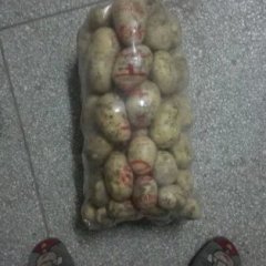 东台本地有千亩大棚土豆现已上市