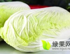 深圳食堂承包常用的大白菜