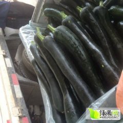 安徽砀山黑皮南瓜产销两旺