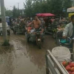 砀山油桃是名优特产,葛集王钦州诚信合作