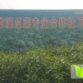 山东安丘吾山镇龙溪万亩瓜菜种植基地，欢迎您