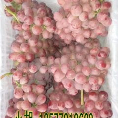 云南红提葡萄上市！！