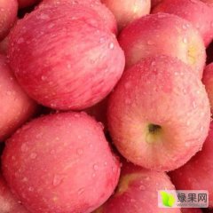 陕西大荔冷库红富士苹果名优产品