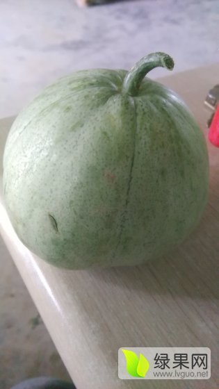 2016年陕西蒲城清香翠玉价格