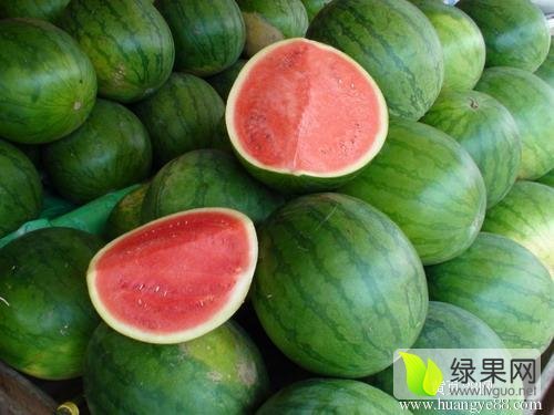 花皮无籽价格