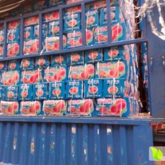 阿珍果业 各种桃子代销