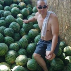 2016大荔西瓜收购工作全面开展