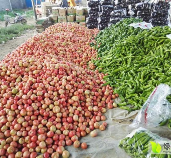 2016年山东东昌府硬粉价格