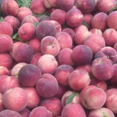 好桃湖北造，湖北好桃找小魏