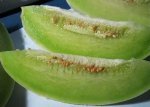 2016年江苏东台玉菇甜瓜价格