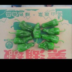 湖北兴山芜湖椒辣椒著名品牌